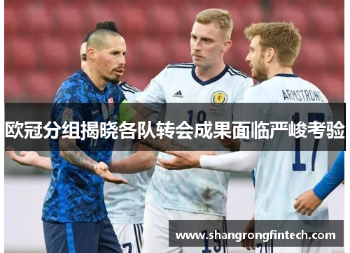 欧冠分组揭晓各队转会成果面临严峻考验 欧冠分组揭晓各队转会成果面临严峻考验