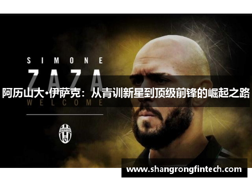 阿历山大·伊萨克：从青训新星到顶级前锋的崛起之路