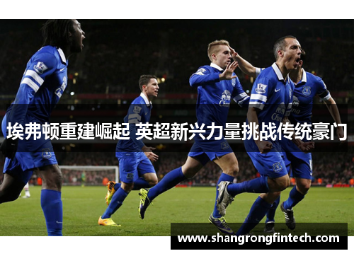 埃弗顿重建崛起 英超新兴力量挑战传统豪门 埃弗顿重建崛起 英超新兴力量挑战传统豪门